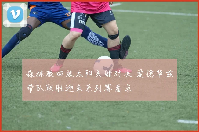 森林狼回放太阳关键对决 爱德华兹带队取胜迎来系列赛看点