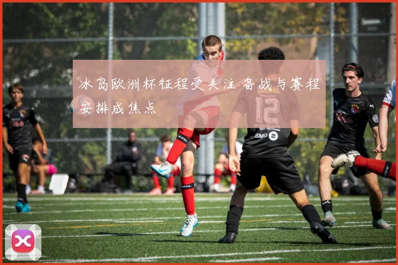冰岛欧洲杯征程受关注 备战与赛程安排成焦点